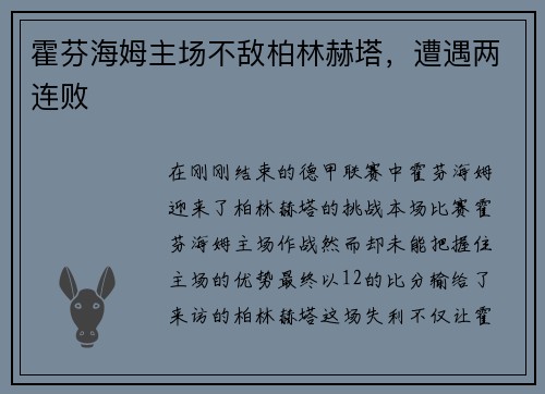 霍芬海姆主场不敌柏林赫塔，遭遇两连败