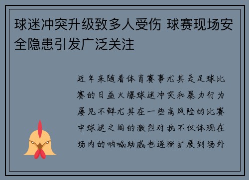 球迷冲突升级致多人受伤 球赛现场安全隐患引发广泛关注